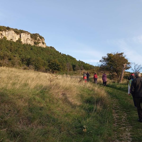 IMG_20251003_181436-