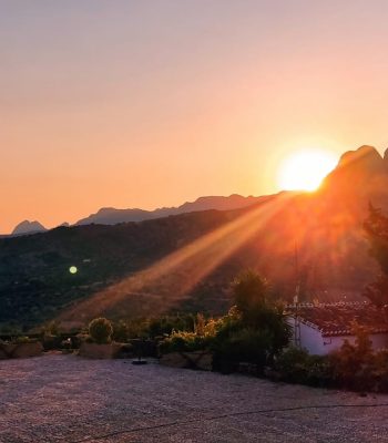 WhatsApp Image 2025-06-30 at 12.21.24