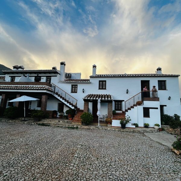 WhatsApp Image 2025-06-30 at 13.10.30 (1)