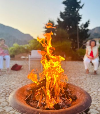 WhatsApp Image 2025-06-30 at 13.15.13